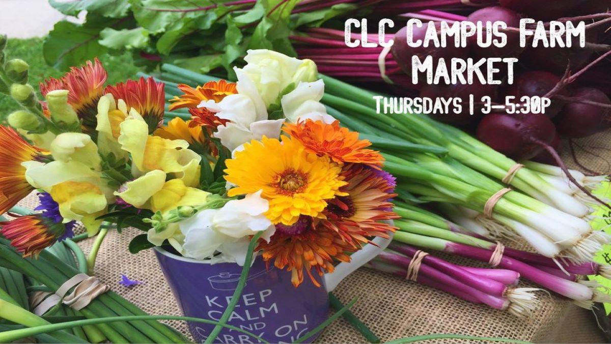 College of Lake County Farm Market